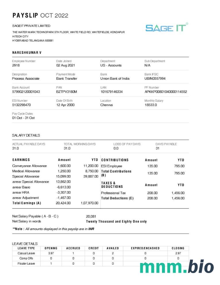 Szablon odcinka wypłaty SageIT w formatach Word i PDF